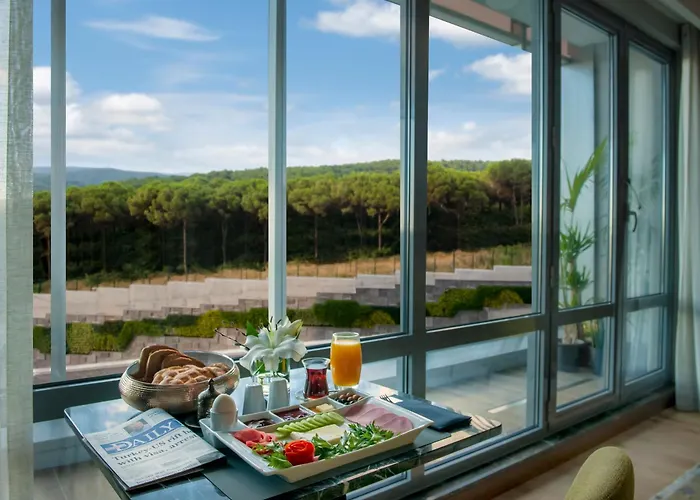 Отель Somerset Maslak Стамбул